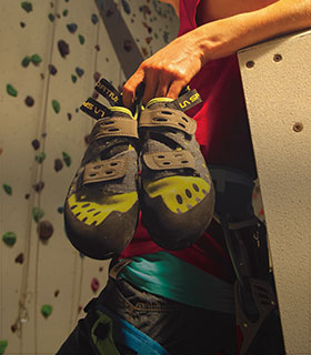 Akcia Tarantula/ce teraz -25 %