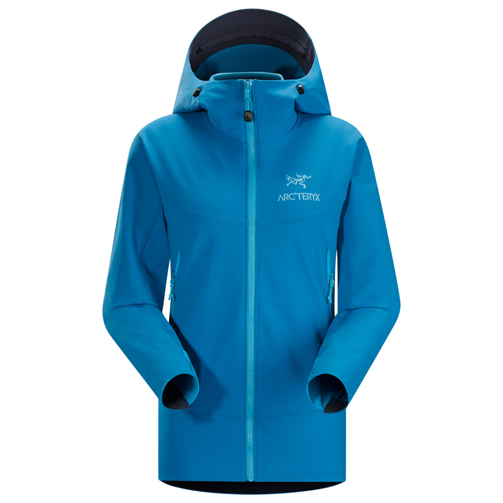 Худи arcteryx. Salomon Arcteryx. Arcteryx Gamma lt. Куртка Arcteryx софтшелл.