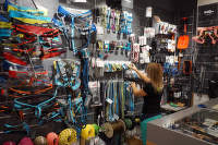 Rock Empire HUDY Na Harfě