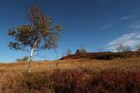 Prechod-Krusnych-hor (10)