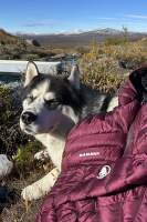 OLAVSLEDEN_Norsko_Mammut (10)