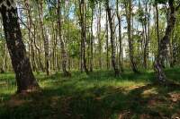 Prechod-Krusnych-hor (12)