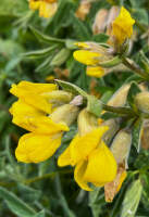 Kyrgyzstan_Jezero_Ala-Kul29