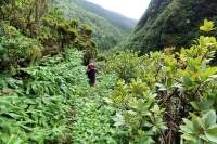 AZORY_dalkove_trasy (7)