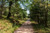 Prechod-orlickych-hor (1)