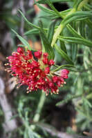 Kyrgyzstan_Jezero_Ala-Kul30