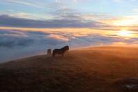 NP_Snowdonia_Wales (10)