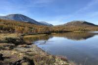 OLAVSLEDEN_Norsko_Mammut (3)