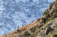 ultratrail v horách