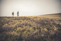 dálkový pochod rady