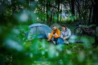 Direct-alpine-bukovy-les