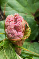 Kyrgyzstan_Jezero_Ala-Kul31