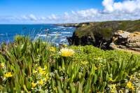 Fishermens_trail_dalkova_trasa (9)