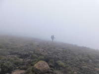 mlha v Dracich horach