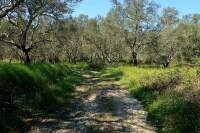 Corfu-Trail-Korfu-Recko (21)