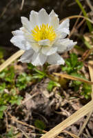 Kyrgyzstan_Jezero_Ala-Kul23