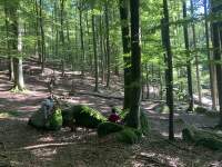 Jak_odstranit_smulu (3)