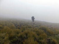 co-si-sbalit-v-lete-Zampach (3)