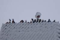 Detske-tabory-zimni-horsky (4)