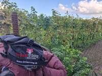 DownWool_Gruezi_bag_Biopod_Subzero (2)