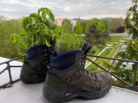 boty jako květináče