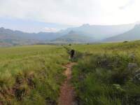 co-si-sbalit-v-lete-Zampach (4)