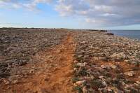 MENORCA_dalkova-trasa-GR223_19