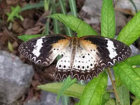 Severni_Vietnam-cestovani17