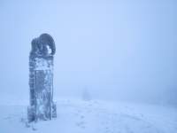 Slon Králičák (2)