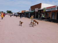 prave africké trhy2