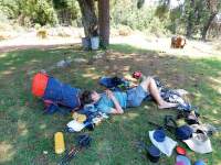 co-si-sbalit-v-lete-Zampach (5)