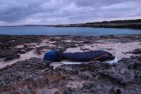 MENORCA_dalkova-trasa-GR223_23