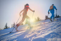 aura_lady_brick_palisander_boki_lady_palisander