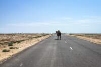 Kyrgyzstan_handbike_Cernohous_Ales (5)