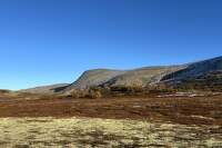 OLAVSLEDEN_Norsko_Mammut (1)