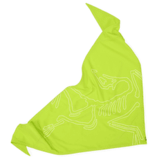 Šátek Arcteryx Sinsolo Bandana Mantis