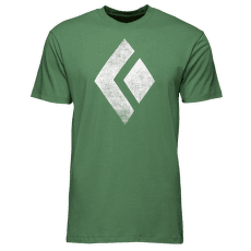 Chalked Up Tee SS Men Arbor Green