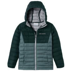 Bunda Columbia Powder Lite™ Hooded Jacket Boys Metal, Spruce 346