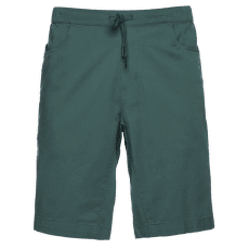 Notion Shorts Raging Sea