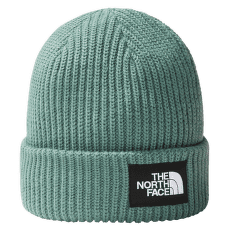 Čepice The North Face Salty Dog Beanie DARK SAGE