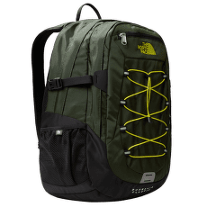 Batoh The North Face BOREALIS CLASSIC PINE NEEDLE/SRSGGN/TNFB