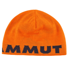 Čepice Mammut Mammut Logo Beanie (1191-04891) arumita-night