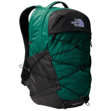 Batoh The North Face BOREALIS (52SE) EVERGREEN/TNF BLACK