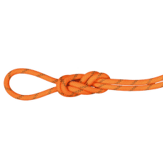 Lano Mammut 8.0 Alpine Dry Rope 2284 vibrant orange-boa