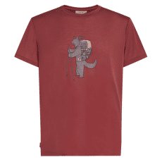 Triko krátký rukáv Icebreaker Merino Blend Core SS Tee Tech Head Men PORT