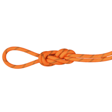 Lano Mammut 8.0 Alpine Dry Rope Safety orange-boa 11238