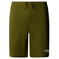 Kraťasy The North Face Graphic Short Light Men FOREST OLIVE