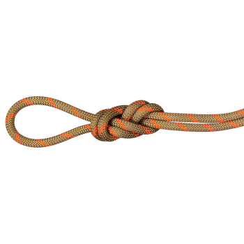 Lano Mammut 8.0 Alpine Dry Rope Boa-safety orange 11240