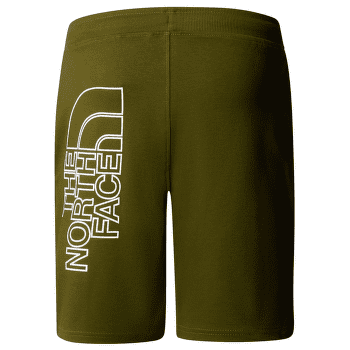 Kraťasy The North Face Graphic Short Light Men FOREST OLIVE