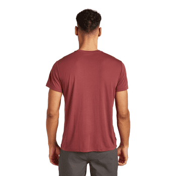 Triko krátký rukáv Icebreaker Merino Blend Core SS Tee Tech Head Men PORT